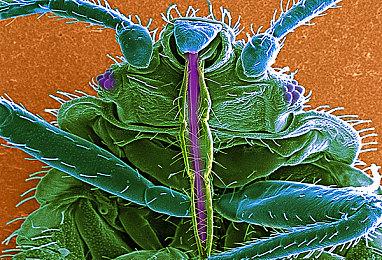 吸血鬼生存游戏《夜族崛起》Steam迎来史低价，75.6元即可入手！